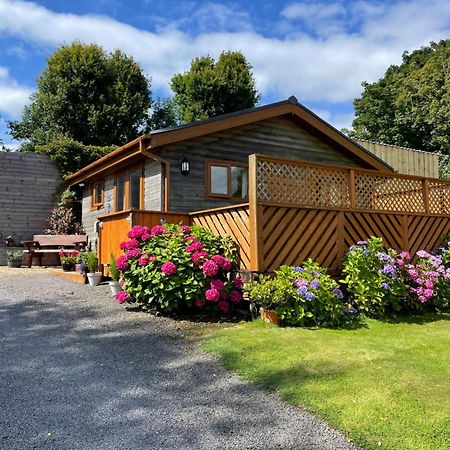 Swansea Log Cabin Pontardawe Dış mekan fotoğraf