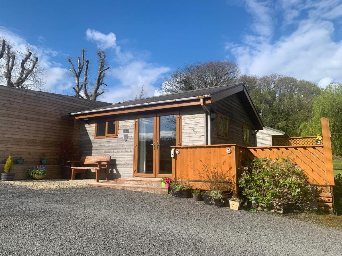 Swansea Log Cabin Pontardawe Dış mekan fotoğraf