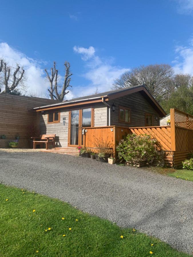 Swansea Log Cabin Pontardawe Dış mekan fotoğraf