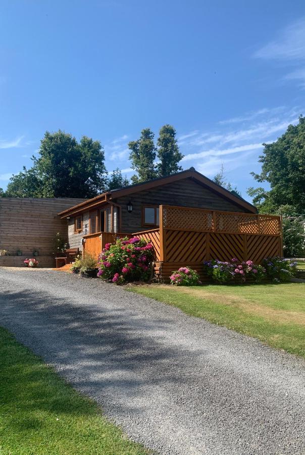 Swansea Log Cabin Pontardawe Dış mekan fotoğraf