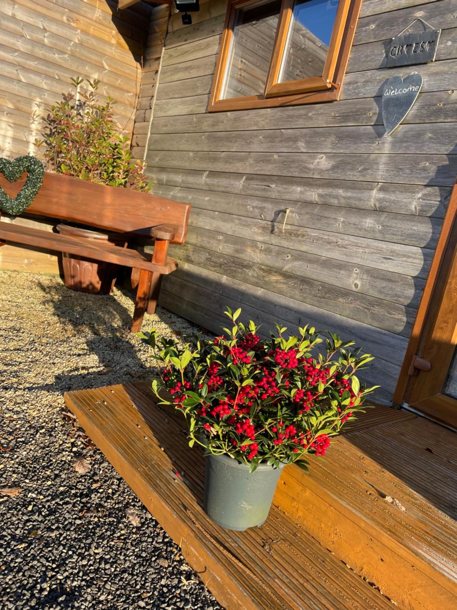 Swansea Log Cabin Pontardawe Dış mekan fotoğraf
