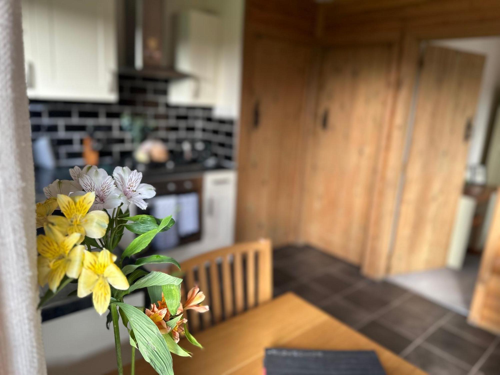 Swansea Log Cabin Pontardawe Dış mekan fotoğraf