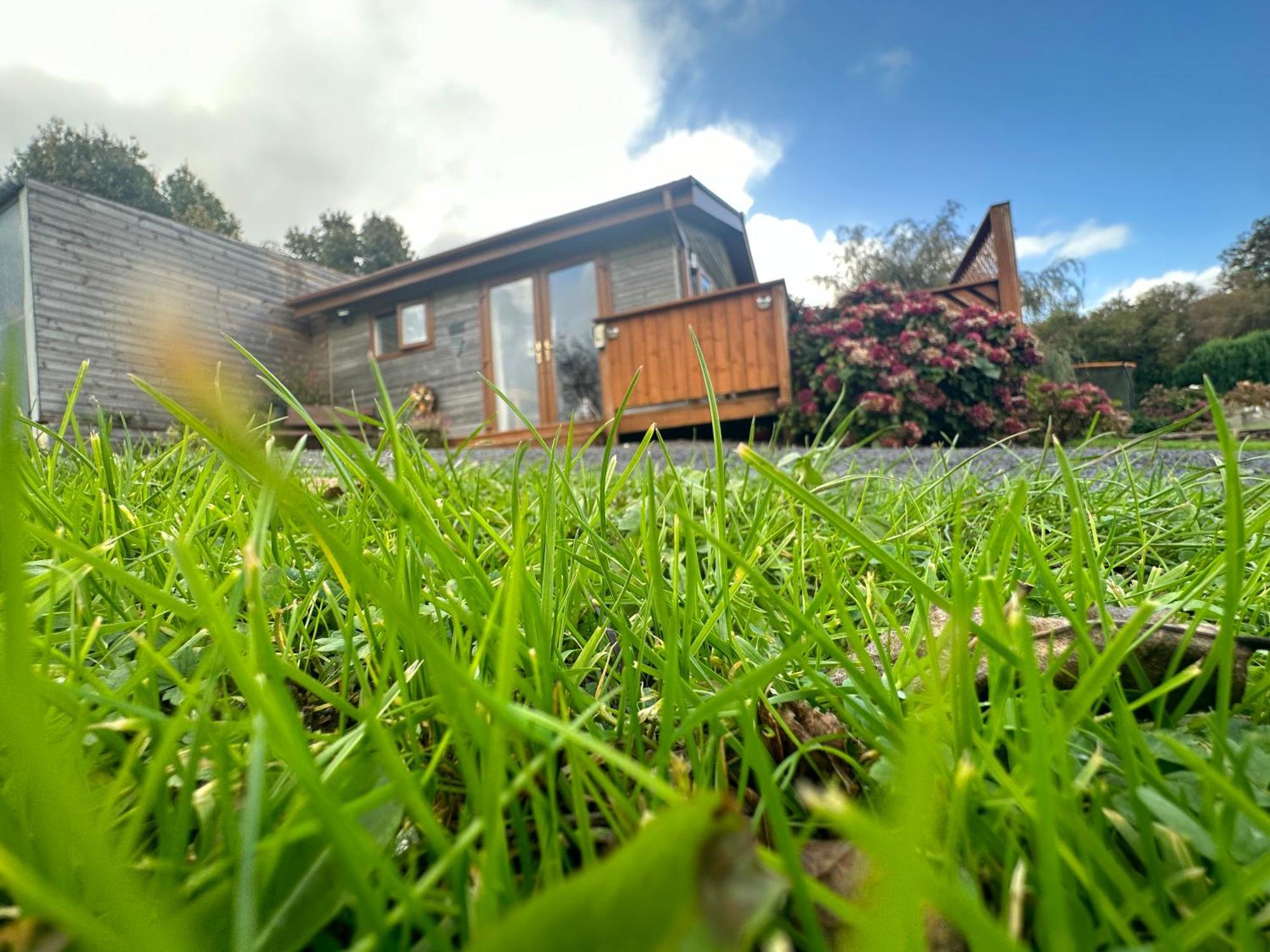 Swansea Log Cabin Pontardawe Dış mekan fotoğraf