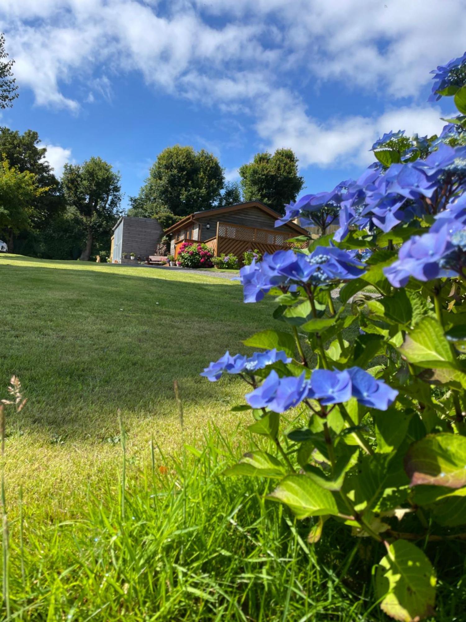 Swansea Log Cabin Pontardawe Dış mekan fotoğraf