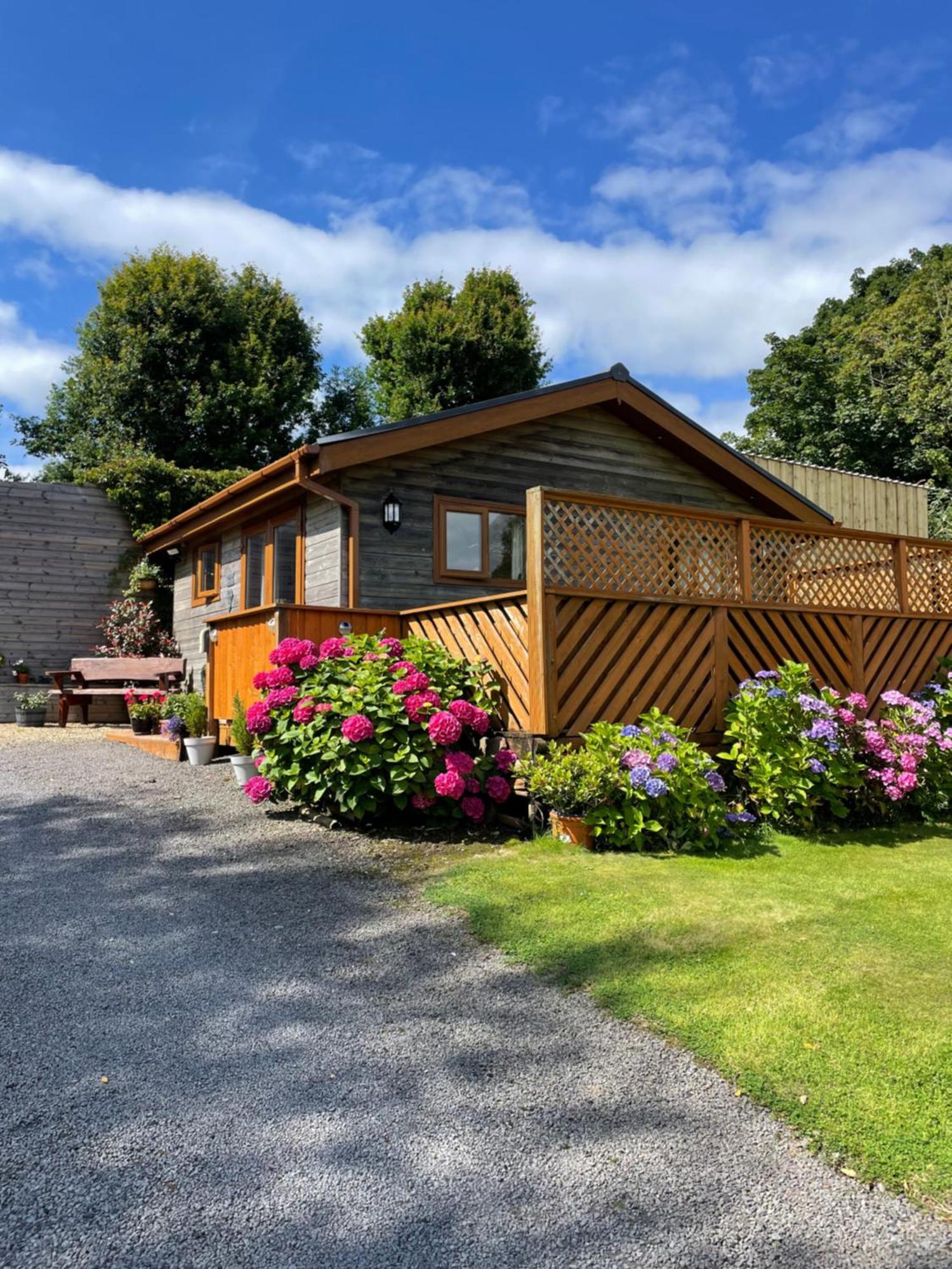 Swansea Log Cabin Pontardawe Dış mekan fotoğraf