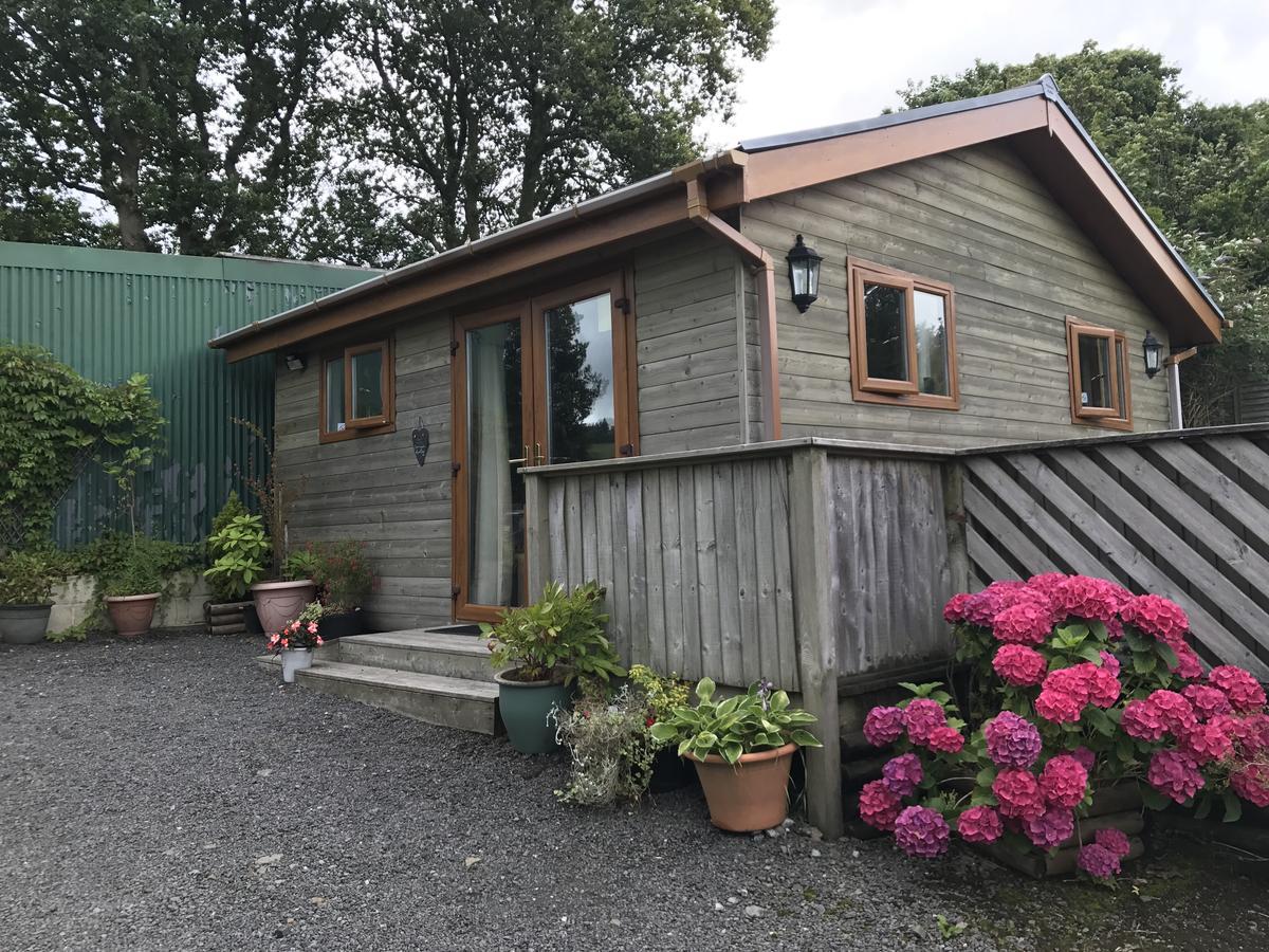 Swansea Log Cabin Pontardawe Dış mekan fotoğraf