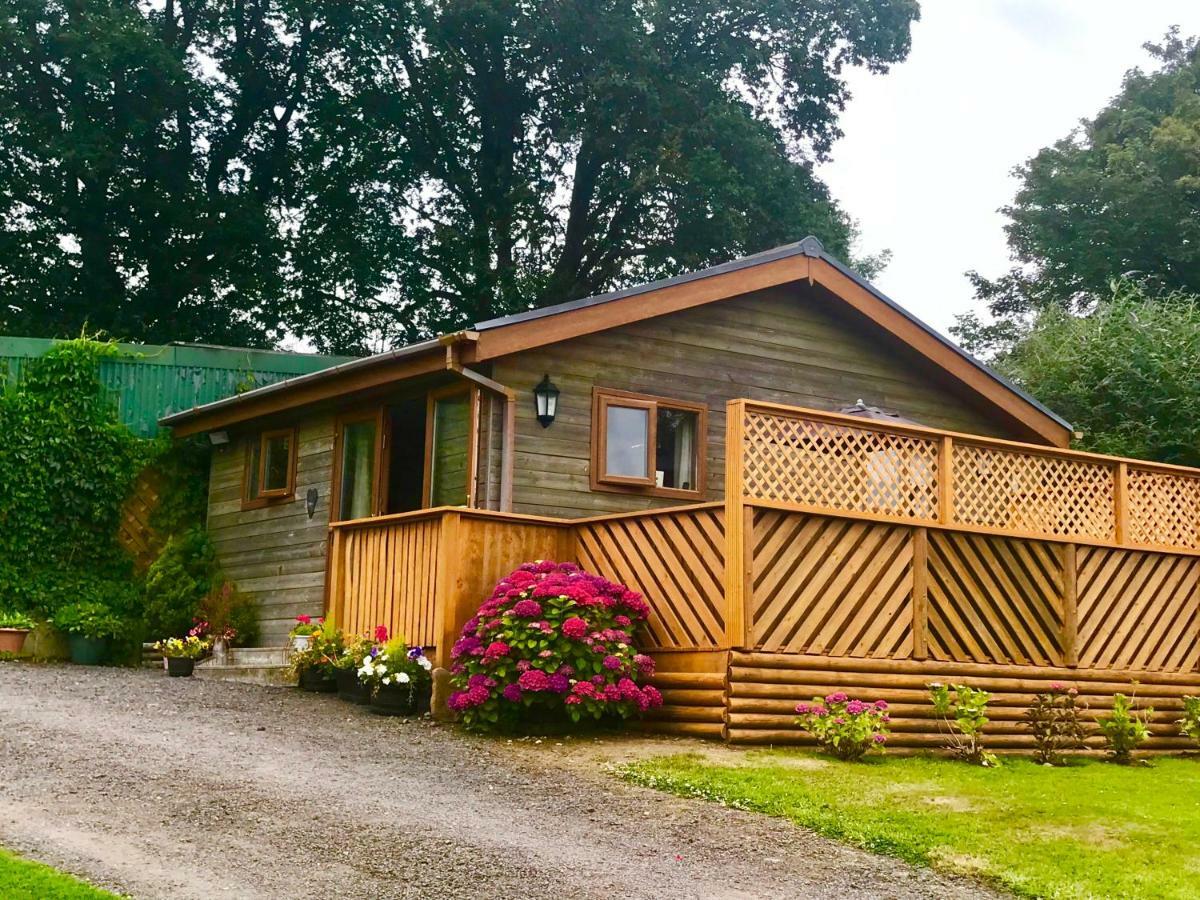 Swansea Log Cabin Pontardawe Dış mekan fotoğraf